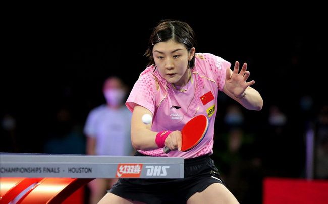 保持稳定的 保持稳定的