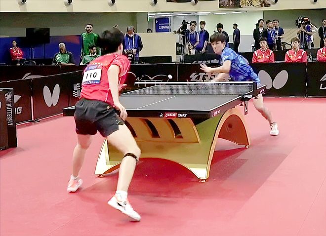 增添了不少 增添了不少